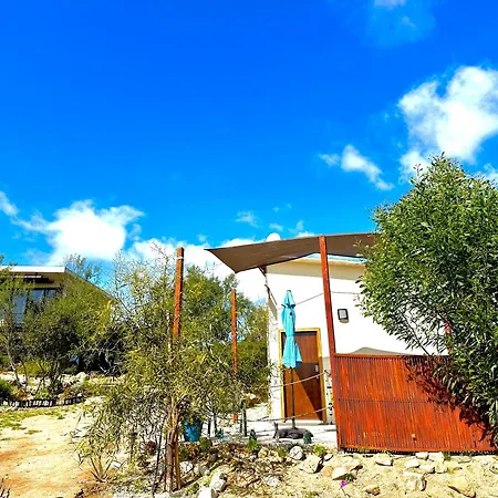 Oasis 444 Hotel San Marcos  Exterior photo